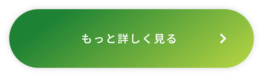 もっと詳しく見る
