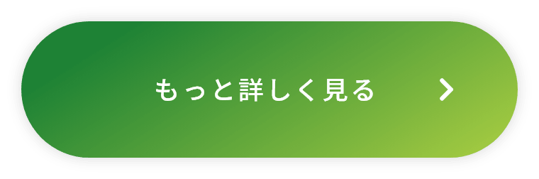 もっと詳しく見る