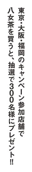 八女茶でチルする?