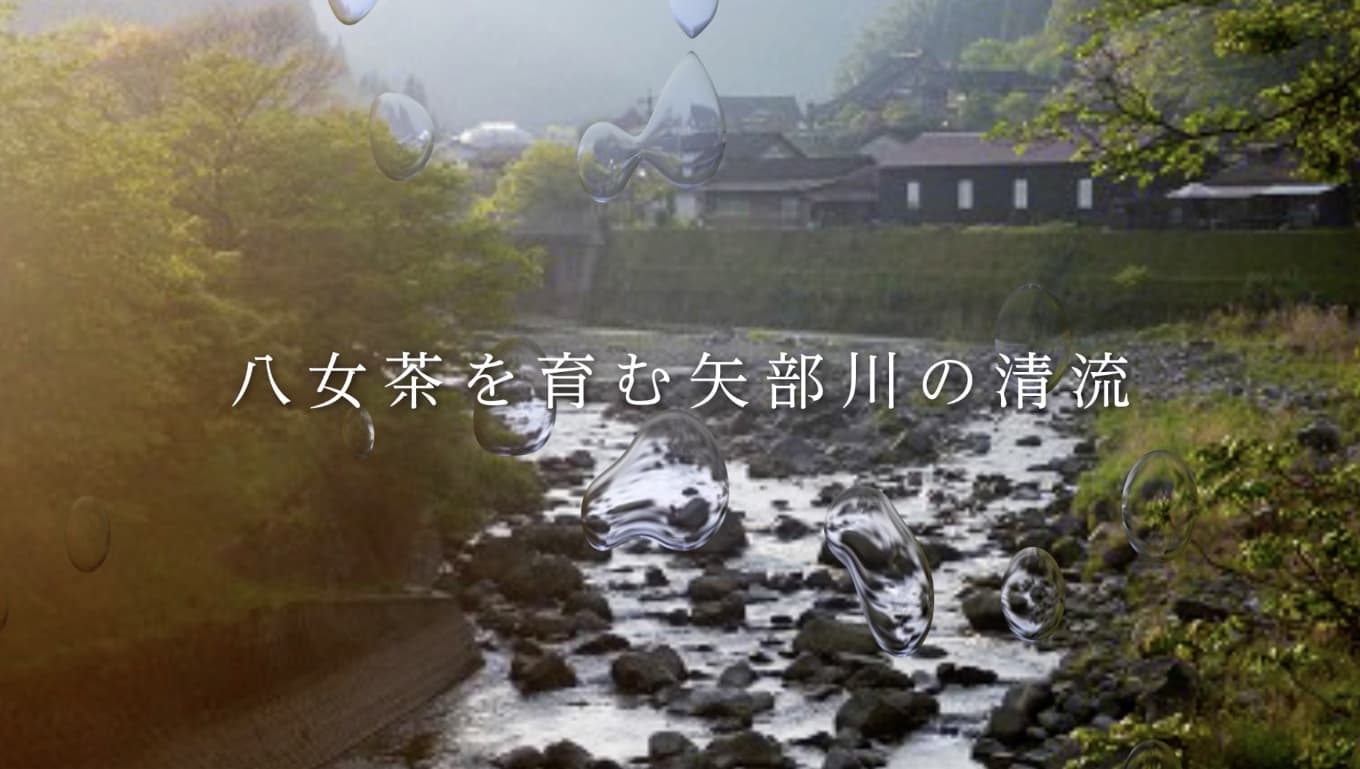 八女茶ロゴマーク MOVIE